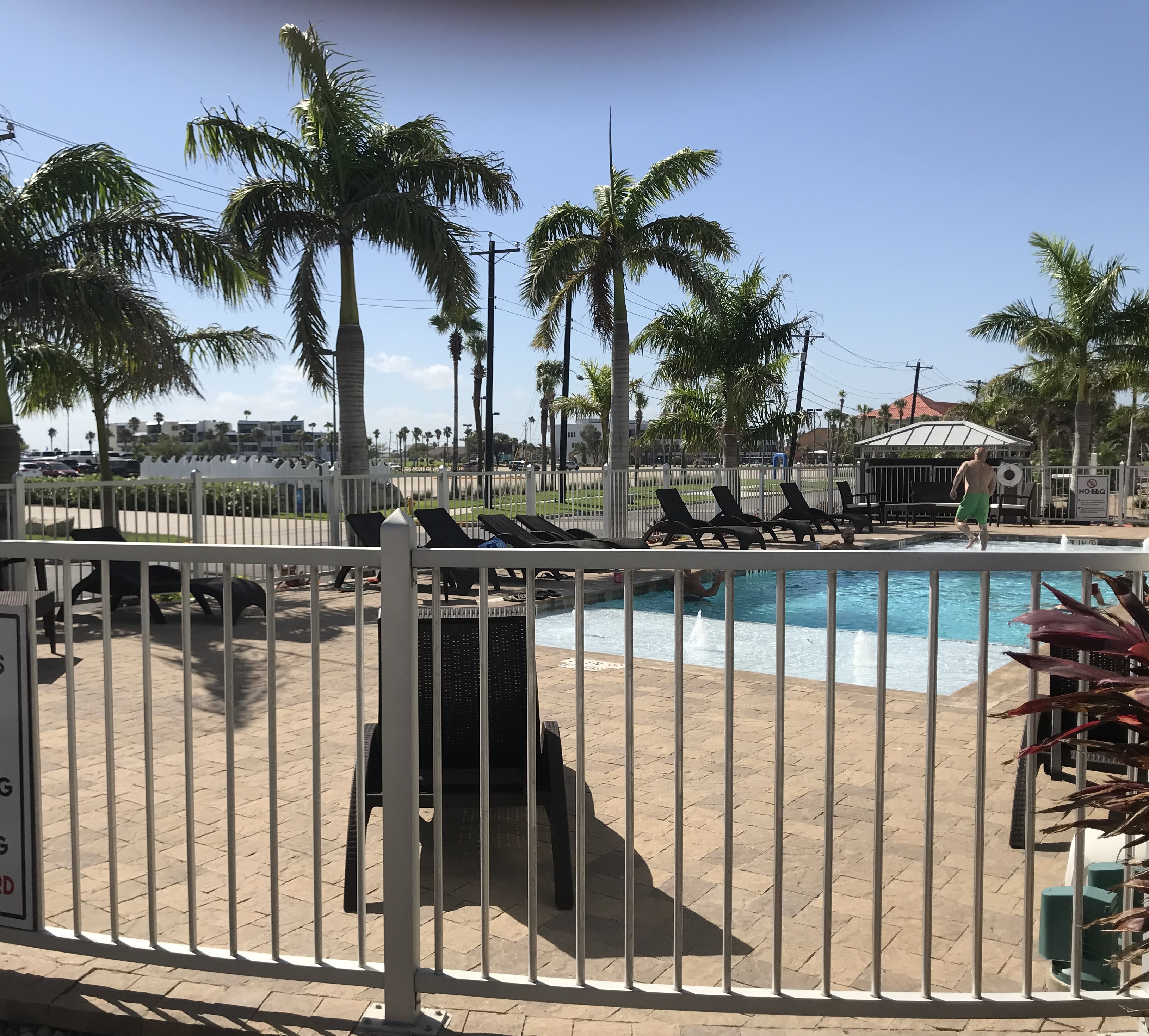 Outdoor pool with palm trees and lounge chairs at vacation property